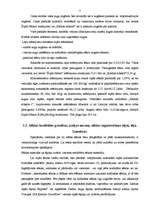 Referāts 'Rapsis', 7.