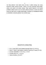 Referāts 'Rapsis', 13.