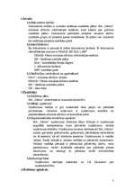 Referāts 'Sistēmas izstrādes plāns', 3.