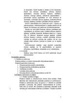 Referāts 'Sistēmas izstrādes plāns', 5.