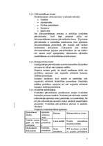 Referāts 'Sistēmas izstrādes plāns', 7.
