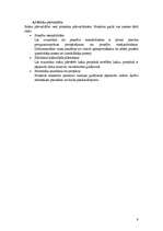 Referāts 'Sistēmas izstrādes plāns', 9.