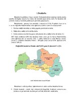 Referāts 'Jauniešu bezdarbs Latvijā, tā cēloņi un sekas', 7.