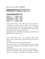 Konspekts 'Lidojumu izmaksu aprēķins', 6.