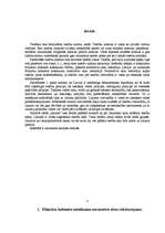 Referāts 'Ministru kabineta noteikumu vieta un nozīme normatīvo aktu hierarhijā', 1.