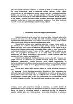 Referāts 'Ministru kabineta noteikumu vieta un nozīme normatīvo aktu hierarhijā', 3.