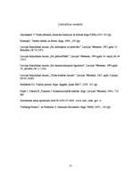 Referāts 'Ministru kabineta noteikumu vieta un nozīme normatīvo aktu hierarhijā', 13.