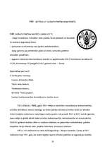 Referāts 'Starptautiskā tirdzniecība', 19.