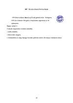 Referāts 'Starptautiskā tirdzniecība', 24.