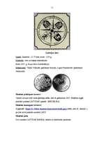 Referāts 'Svētā Pētera baznīca', 11.