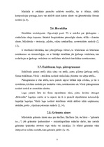 Referāts 'Zīmes', 8.