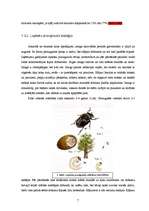 Referāts 'Lapkoku praulgrauzis Latvijā', 7.