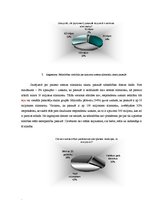 Referāts 'Alerģija - viena no izplatītākajām 21.gadsimta slimībām', 19.