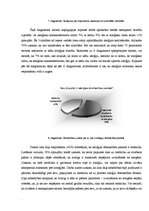 Referāts 'Alerģija - viena no izplatītākajām 21.gadsimta slimībām', 22.