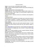 Referāts 'Alerģija - viena no izplatītākajām 21.gadsimta slimībām', 34.