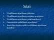 Prezentācija 'Uzrādīšanas, atpazīšanas lietošana noziegumu atklāšanā un novēršanā', 2.