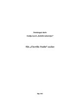 Referāts 'SIA "Cinevilla Studio" darbības analīze', 1.