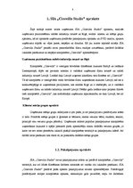 Referāts 'SIA "Cinevilla Studio" darbības analīze', 4.