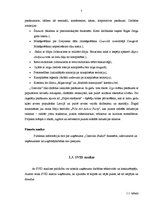 Referāts 'SIA "Cinevilla Studio" darbības analīze', 5.