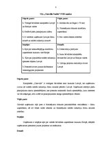 Referāts 'SIA "Cinevilla Studio" darbības analīze', 6.