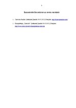 Referāts 'SIA "Cinevilla Studio" darbības analīze', 9.