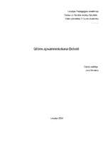 Referāts 'Ūdens apsaimniekošana Dobelē ', 1.