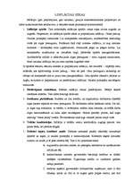 Referāts 'Inflācija', 5.