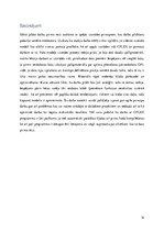 Konspekts 'Sprintu plānošanas optimizācija', 14.