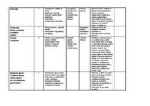 Konspekts '37 stundu plānojums mājturībā', 3.
