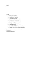 Referāts 'Satjagrahas fenomens reliģiju vēsturē', 2.