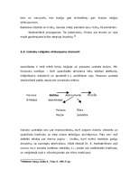 Referāts 'Satjagrahas fenomens reliģiju vēsturē', 14.