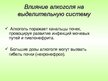 Prezentācija 'Влияние алкоголя на системy органов человека', 13.