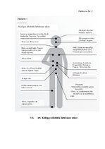 Referāts 'Viens no atkarības veidiem - alkoholisms', 25.