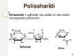 Prezentācija 'Makromolekulas. Lipīdi. Polisaharīdi. Proteīni. Nukleīnskābes', 12.