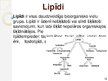 Prezentācija 'Makromolekulas. Lipīdi. Polisaharīdi. Proteīni. Nukleīnskābes', 14.