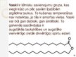 Prezentācija 'Makromolekulas. Lipīdi. Polisaharīdi. Proteīni. Nukleīnskābes', 18.