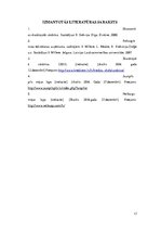 Prakses atskaite 'PEST analīze. Viesnīca "Neiburgs" un SIA "Jaunpils pils"', 17.