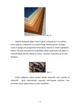 Referāts 'Interjers un viesnīcu mēbeles', 10.