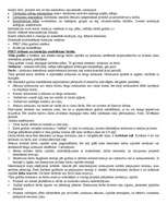 Konspekts 'Ieskaites jautājumi menedžmentā', 14.