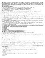 Konspekts 'Ieskaites jautājumi menedžmentā', 17.