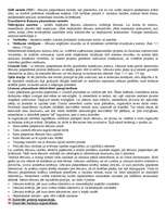 Konspekts 'Ieskaites jautājumi menedžmentā', 21.