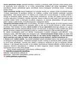 Konspekts 'Ieskaites jautājumi menedžmentā', 29.