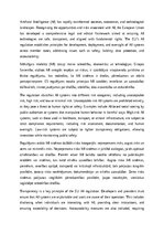 Eseja 'EU regulation for AI', 1.