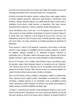 Eseja 'EU regulation for AI', 4.