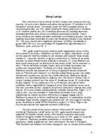 Referāts 'Holokausts', 5.