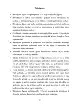 Referāts 'Dāvinājuma līgumi', 25.