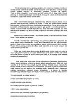 Referāts 'Sociālā rehabilitācija', 3.