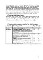 Referāts 'Darba vietas projekts', 7.