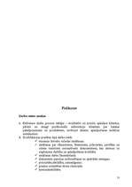 Referāts 'Darba vietas projekts', 13.