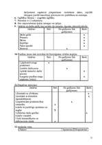 Referāts 'Darba vietas projekts', 15.